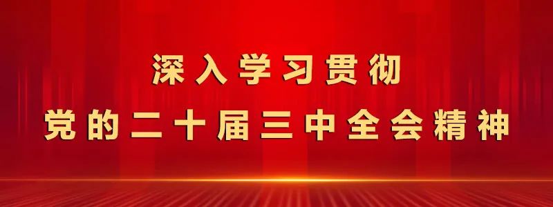 深入学习贯彻党的二十届三中全会精神专栏丨三中全会《决定》名词卡片天天学：人民币离岸市场 - 东营市国投集团