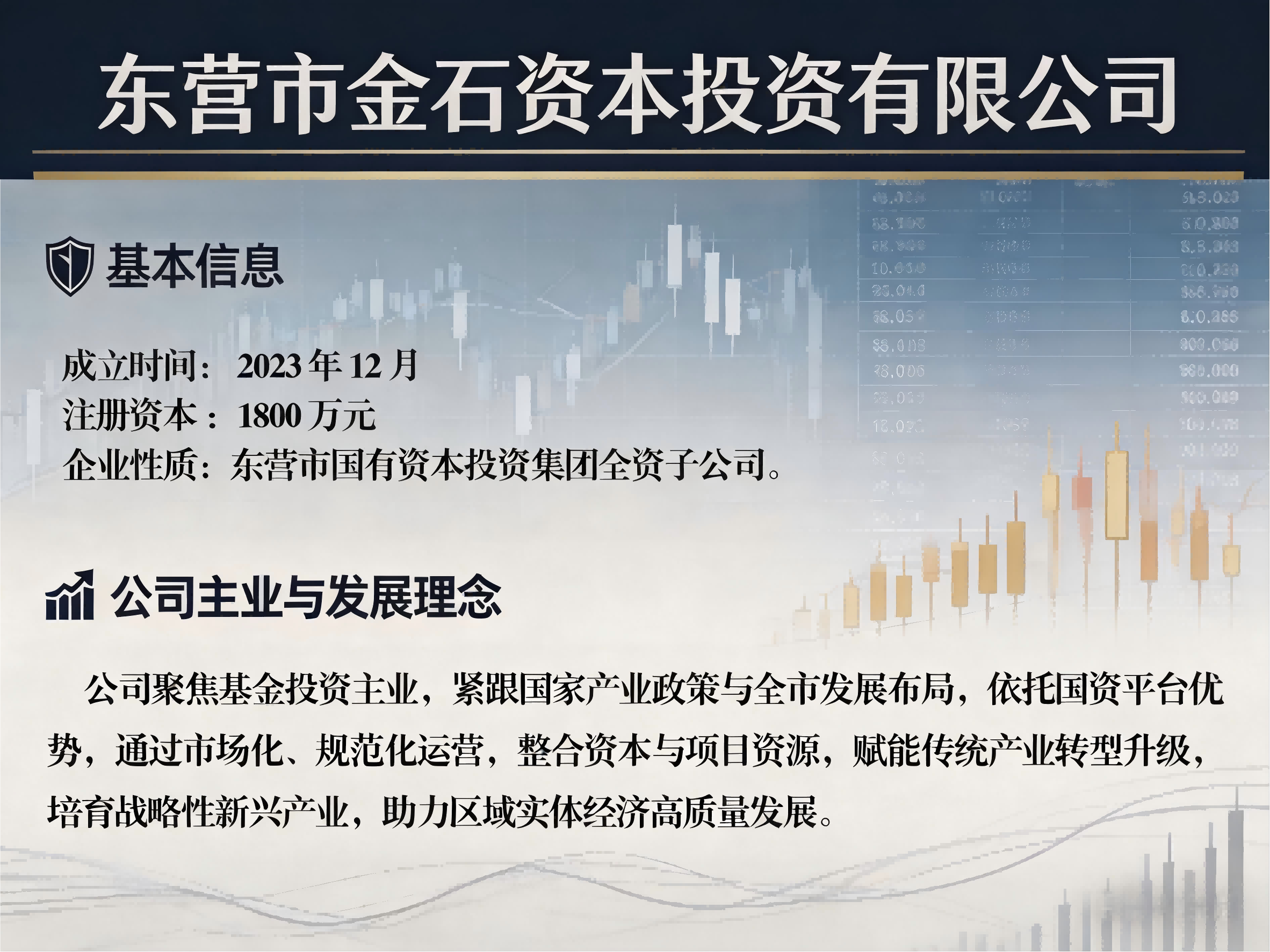 东营市新质产业投资有限公司详情页设计 (15).png